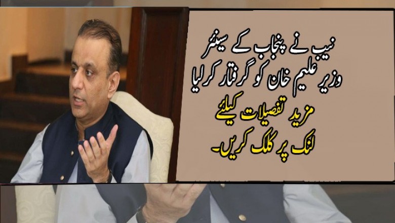 نیب نے پنجاب کے سینئر وزیر علیم خان کو گرفتار کرلیا