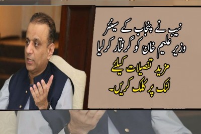 نیب نے پنجاب کے سینئر وزیر علیم خان کو گرفتار کرلیا