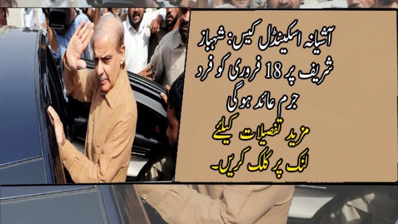 آشیانہ اسکینڈل کیس: شہباز شریف پر 18 فروری کو فرد جرم عائد ہوگی