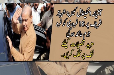 آشیانہ اسکینڈل کیس: شہباز شریف پر 18 فروری کو فرد جرم عائد ہوگی