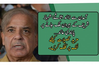 آمدن سے زائد اثاثے: شہباز شریف کے بیرون ملک جانے پر پابندی عائد
