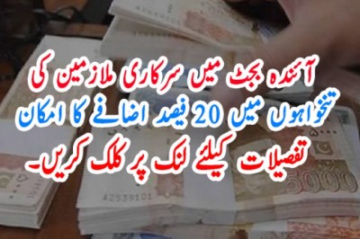 آئندہ بجٹ میں سرکاری ملازمین کی تنخواہوں میں 20 فیصد اضافے کا امکان