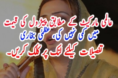 عالمی مارکیٹ کے مطابق پیٹرول کی قیمت میں کمی نہیں کی، عظمیٰ بخاری