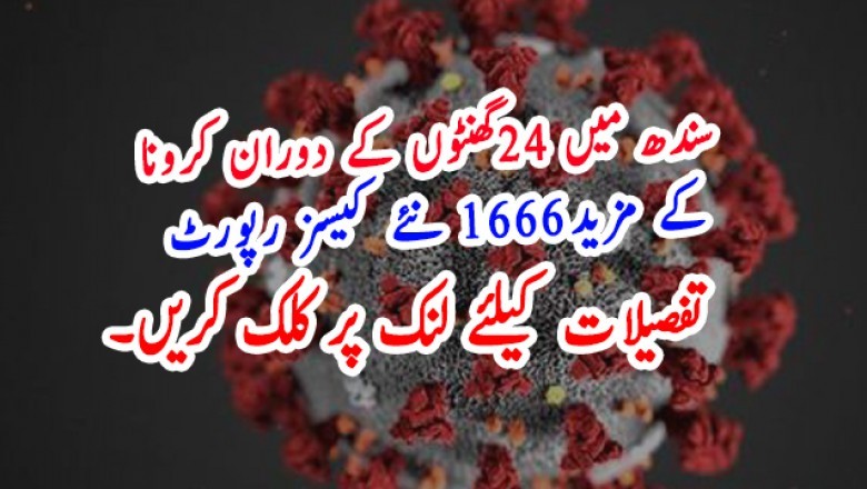 سندھ میں 24گھنٹوں کے دوران کرونا  کے مزید1666 نئے کیسز رپورٹ