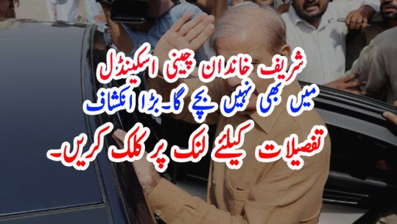 شریف خاندان چینی اسکینڈل میں بھی نہیں بچے گا