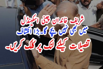 شریف خاندان چینی اسکینڈل میں بھی نہیں بچے گا