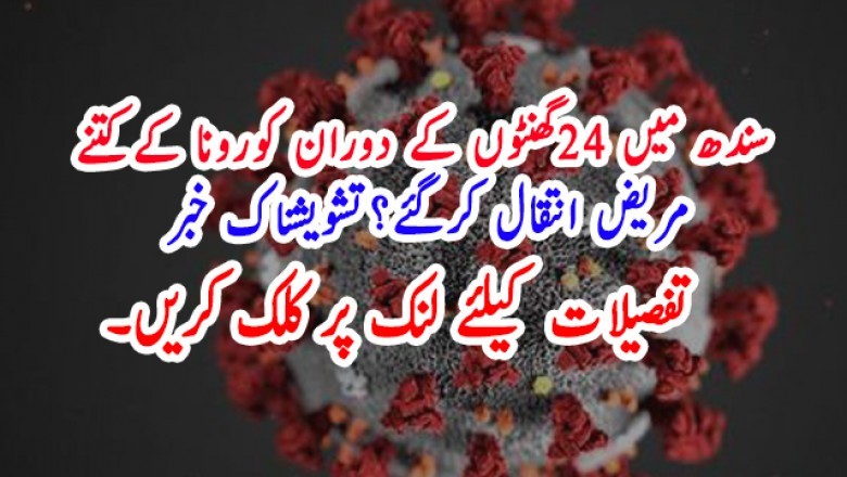 سندھ میں 24گھنٹوں کے دوران کورونا کےکتنے مریض انتقال کرگئے؟
