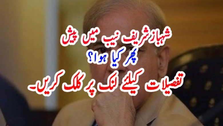 شہبازشریف نیب میں پیش