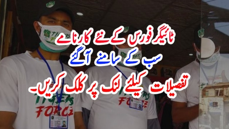 ٹائیگرفورس کے کارنامے