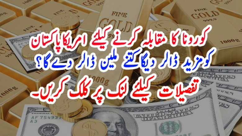 کورونا کا مقابلہ کرنے کیلئے امریکاپاکستان   کومزید ڈالر دیگاکتنے ملین ڈالر دےگا؟