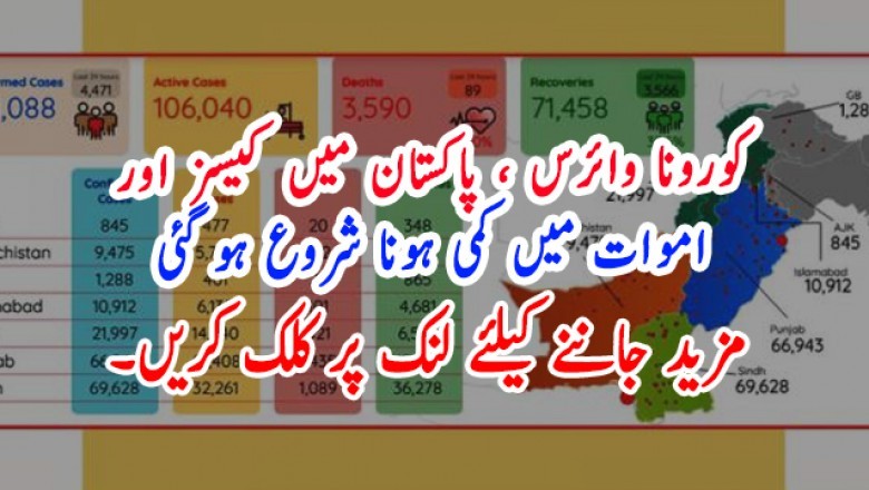 کورونا وائرس ، پاکستان میں کیسز اور اموات میں کمی ہونا شروع ہو گئی