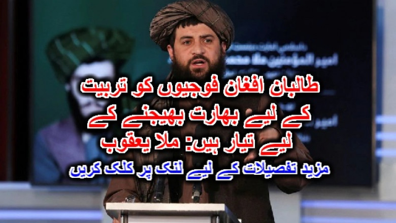 طالبان افغان فوجیوں کو تربیت کے لیے بھارت بھیجنے کے لیے تیار ہیں: ملا یعقوب