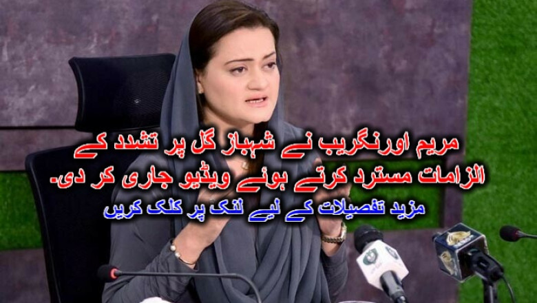 مریم اورنگریب نے شہباز گل پر تشدد کے الزامات مسترد کرتے ہوئے ویڈیو جاری کر دی۔